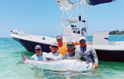 Reel Tarpon Fishing Fun in Sarasota